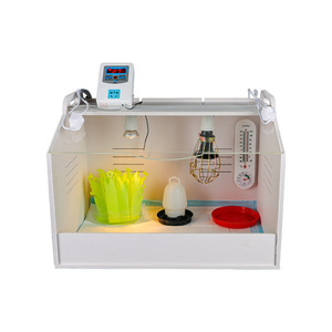 Brooder Box <b>Heater</b> for Chicks Quails - Poultry Incubator, Bird & Reptile Terrarium with Thermostat - Product Image 1