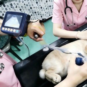 Échographe vétérinaire portable, appareil d'échographie B pour la détection de la grossesse chez les animaux, vache, cheval, porc, mouton - Product Image 6