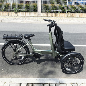 Triciclo Eléctrico de 25 km/h con Motor Central de 48V 250W, Capacidad de Carga de 100-200 kg, Cuadro de Aleación y <span class=keywords><strong>Desviador</strong></span> Hidráulico, Cumple con las Leyes de la UE - Product Image 2
