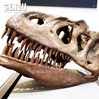 Modèle animatronique de squelette de dinosaure en fibre de verre, statue de carnosaure, fossiles de dinosaures, dents