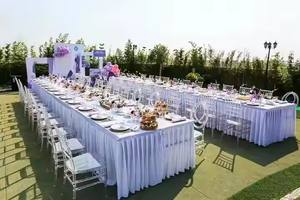 Hot Sale Transparent Acrylic Resin Phoenix Brand New for Dining & Apartment <b>Clear</b> Tiffany Napoleon Hotel Banquet <b>Chair</b> - Product Image 5