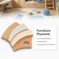 Contreplaqué mélaminé 18 mm 4x8 à âme en eucalyptus, colle phénolique WBP, certifié FSC CARB P2 ENF, coupe nette, pour présentoirs commerciaux