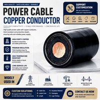 Cable de Alimentación de Cobre de 1 Núcleo YJV22, Cable Eléctrico Subterráneo de Alta Tensión con Aislamiento XLPE y Blindaje de Cinta de Acero (STA) para Entierro Directo
