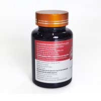 Capsules de poudre de spores de Ganoderma personnalisées en gros – Ingrédients naturels à base de plantes pour la préservation de la santé – Suppléments tendance