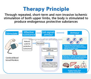 Instrumen pelatihan penyakit saluran udara, LCD canggih untuk rehabilitasi penyakit vaskular - Product Image 4