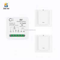 Interrupteur sans fil 433 MHz, mini récepteur relais pour lampe, 16A 3000W, panneaux muraux en plastique, AC 110V 220V, portée 10-50m, télécommande