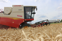 Moissonneuse-Batteuse de Matériel Agricole pour Riz et Blé