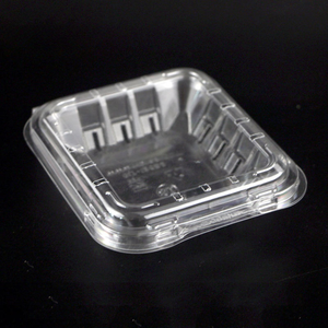 กล่องพลาสติกบรรจุผลไม้แบบใสเกรดบลูเบอร์รี่ขนาด4.4ออนซ์ - Product Image 5