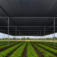 Rouleau de filet d'ombrage en HDPE noir pour serre, pépinière et protection des cultures avec un taux d'ombrage de 30% à 95%