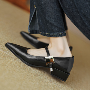 Zapatos de Mujer Estilo Francés con Tacones Gruesos y Punta Puntiaguda, Elegantes, Europeos, Americanos, Retro, Mary Jane, Cómodos, a la Moda, para Verano y Otoño - Product Image 4