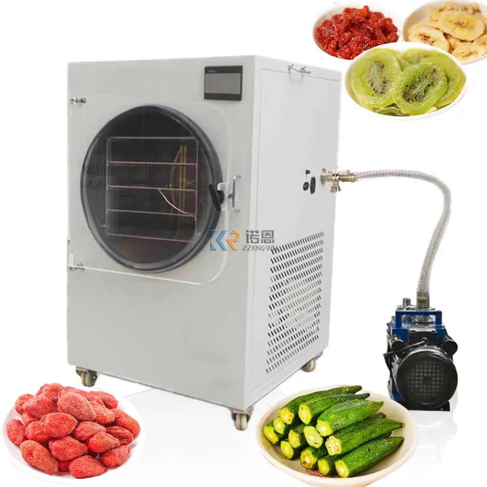 Máquina de secado al vacío de alimentos, dispositivo de congelación de frutas al vacío para uso doméstico, secador de congelación de verduras para alimentos, hierbas, té y frutas, OEM