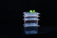 Boîte à salade à couvercle rabattable, conteneurs à salade, boîtes d'emballage en plastique à rabat transparent 50 pièces