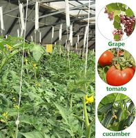 Porte-tomate crochet fer plante vigne cravate aide serre porte-plante vigne Support cordon pour empêcher les légumes pincer ou tomber