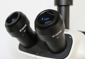 Stéréoscope à fluorescence trinoculaire à éclairage LED VMF7063 avec 2/4 filtres - Product Image 4