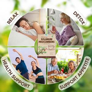 Solution d'exportation de thé aux herbes de qualité supérieure personnalisée OEM ODM, thé santé au Solanum Procumbens avec 40 sachets de thé - Product Image 2