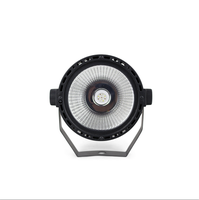 Nouveau Design de fête Ktv Cob 60W plastique Slim Casting télécommande Par lumière