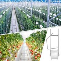 Crochet de fixation anti-âge pour serre, pour tomates et concombres, avec ficelle en PP de 15m, 25m, 30m