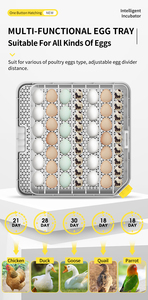 Wonegg 48 tự động Gà Chim Cút vịt chất lượng cao kép điện trứng lồng ấp Điều khiển kỹ thuật số điều khiển nhiệt - Product Image 4