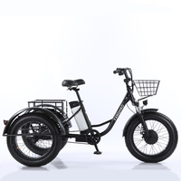 Triciclo de Pedales para Mujer de 20 Pulgadas con Bicicleta de 3 Ruedas Personalizada de Acero y Aluminio de 30 KG, Rueda Grande, para Nieve, para Adultos, Tipo de Pedal Ordinario