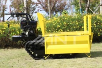 Chargeuse-pelleteuse sur chenilles ANT, mini-dumper auto-déchargeur, moteur 5,5 CV, boîte de vitesses à roulements, rayon de braquage court BY400