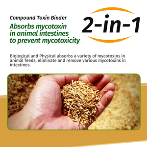 Bột kết dính độc tố cấp thức ăn chứa 2 thành phần phụ gia thức ăn chăn nuôi Bentonite và nấm men - Product Image 3