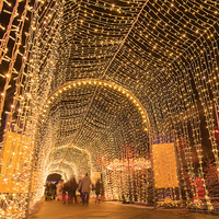 Guirlande lumineuse ciel étoilé blanc chaud lumières suspendues de Noël pour la célébration de mariage de magasin pour les fêtes lumières de rideau de vacances