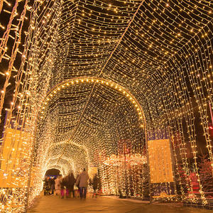 Guirnalda <span class=keywords><strong>de</strong></span> Luces LED Cielo Estrellado Blanco Cálido para <span class=keywords><strong>Navidad</strong></span>, Decoración <span class=keywords><strong>de</strong></span> Tiendas, Bodas, Fiestas y Celebraciones - Product Image 2