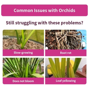 <span class=keywords><strong>Fertilizante</strong></span> Específico para Orquídeas, <span class=keywords><strong>Fertilizante</strong></span> Orgánico para Orquídeas, <span class=keywords><strong>Fertilizante</strong></span> Orgánico Soluble en Agua - Product Image 2