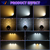 Lampu Par COB 100W DMX 2-in-1 Warm Cool White Surface Light LED Face Light ParCan untuk Acara Pernikahan Panggung Pesta Disko Show