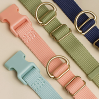Collier de chien en nylon de haute qualité pour la marche quotidienne, la randonnée et la formation.