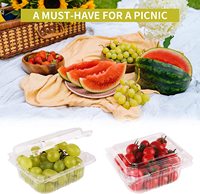 Food Grade Huisdier Wegwerp Plastic Clear Fruit Clamshell Box Container Verpakking Met Gaten