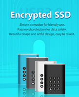 SSD a Stato Solido con Crittografia AES256, Velocità di Lettura/Scrittura 301-400MB/s, Protezione Contro l'Inserimento di 10 Volte di Seguito di Password Errate