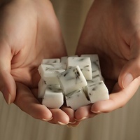 Bougie aromatique japonaise haut de gamme en cire de soja, blocs de cire de soja, décorations d'intérieur durables en céramique, boîtes cadeaux pour mariage et anniversaire