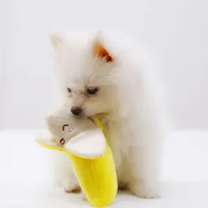 공장 디자인 귀여운 바나나 애완 동물 봉제 장난감 강아지 씹는 놀이 소리 장난감 봉제 견고하고 내구성