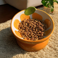 Hot trending mew produits pour animaux de compagnie 2025 chat chien bol de nourriture personnalisé écologique mignon bols et mangeoires pour animaux de compagnie en céramique