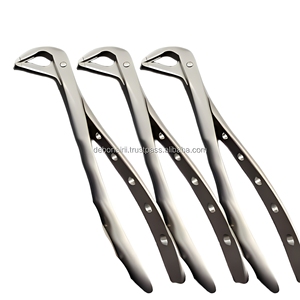 Forceps dentaires professionnels pour l'extraction des dents chez l'adulte, en acier inoxydable, instruments chirurgicaux ergonomiques, fournisseur en gros - Product Image 6
