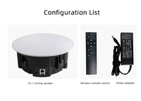Haut-parleur de plafond professionnel sans fil WIFI BT de 6,5 pouces avec amplificateur pour home cinéma