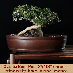 Maceta ovalada Zisha para bonsái de 25x18x7.5cm, hecha a mano, de arcilla, para uso en interiores y exteriores. - Product Image 2