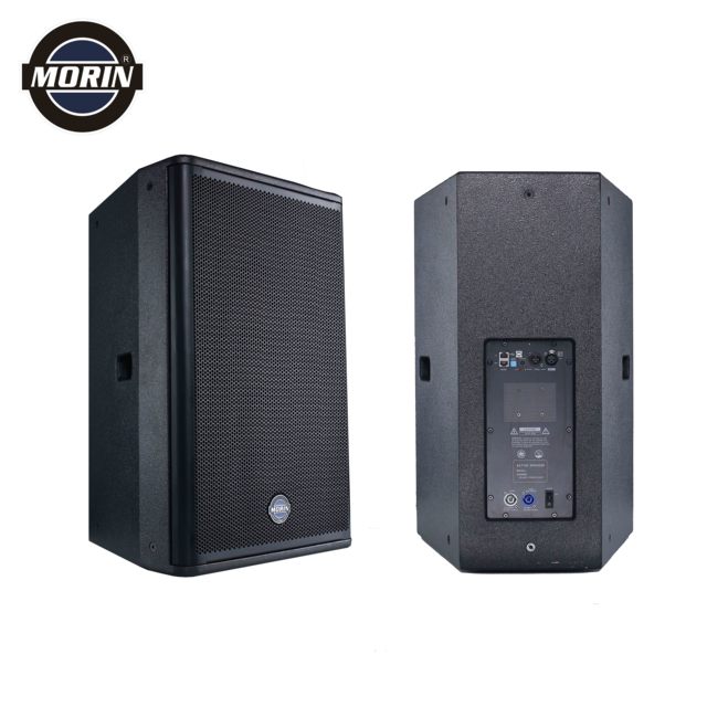 15 Inch Active Speaker System PA Professional Audio, Video with DSP Amplifier 1400 Watts Peak DSL-15DSP