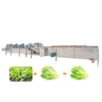 Industriële hoog-efficiënte 304 roestvrijstalen ultrasone fruitverwerkingslijn warmtewisselaar friteuse nieuwe fruit- en groentewasinstallatie
