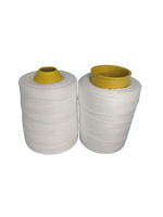 Ventes directes d'usine 100% fil de sac en polyester 20/6 fil de polyester polypropylène petits sacs à rouleau fils à coudre