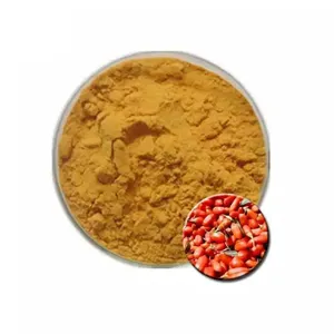 Vente chaude de haute qualité Ningxia Goji Berry poudre de jus de goji chinois biologique baies de goji fraîches en vrac