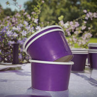 Pot à crème glacée à paroi simple en papier de qualité alimentaire écologique avec fonction imperméable Biodégradable et compostable Logo personnalisé accepté