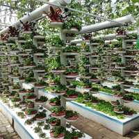 Serres agricoles, agriculture verticale, système d'aéroponie, tour de culture hydroponique, jardin vertical, système hydroponique vertical