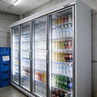 Vitrine réfrigérée à portes vitrées, conception multi-portes, capacité optionnelle, refroidisseur commercial pour l'affichage alimentaire en épicerie