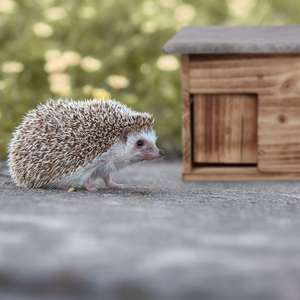 Maisons de <span class=keywords><strong>hérisson</strong></span> d'extérieur, avec rabat de rat, entrée de labyrinthe, 21x46x34 cm, bois de sapin, pour jardin, patio,balcon - Product Image 2