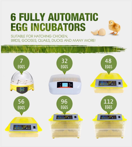 Incubadora Industrial Hhd 528 huevos automática Alemania máquina de incubación de pollos/máquina de incubación de aves de corral - Product Image 6