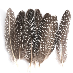80 Plumes de faisan de couleur naturelle - Product Image 1