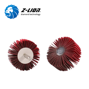 Discos de Pulido de Diamante con Montura Z-LION, Discos de Pulido de Diamante - Product Image 4