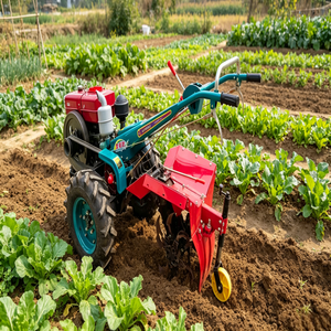 Trattore Agricolo 20HP 2WD ad Alta Produttività con Carrello - Product Image 5